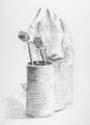 CRW_1381