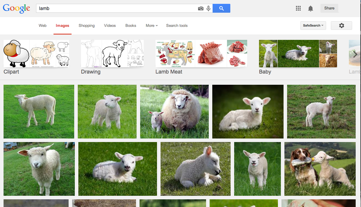 Google images results