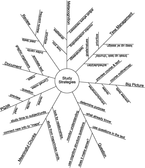 Example  of a Semantic Map or Tree